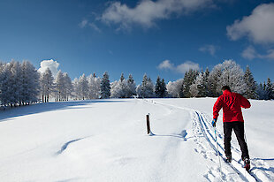 Langlaufloipe im Bayerischen Wald